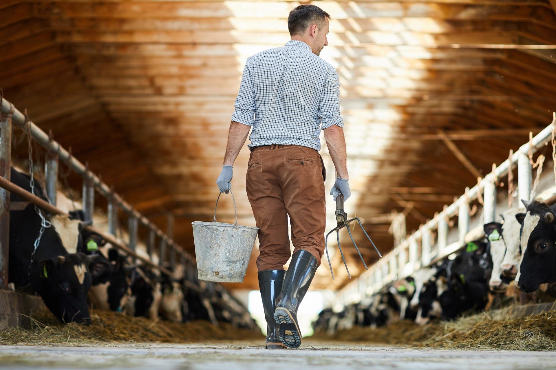 Landwirt bei der Stallarbeit | Weidezelte